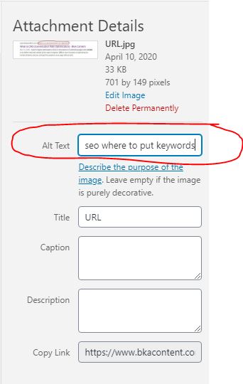 Should You Use Your Sitename in Keywords Seo?